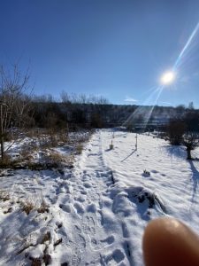 Der Winter hält Einzug